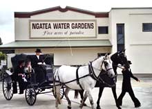Ngatea Function Centre
